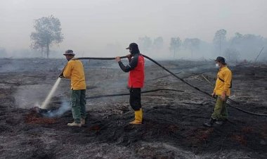 Karhutla Riau Kembali Jadi Ancaman Serius, Pakar Tekankan Kunci Pengelolaan Air Gambut dan Peran Masyarakat