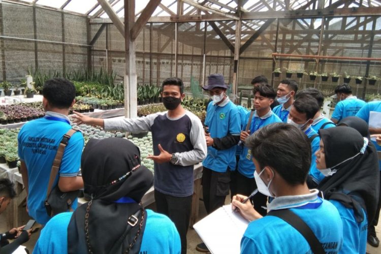 Mahasiswa Faperta Unilak Pelajari UMKM Pertanian di Lembang
