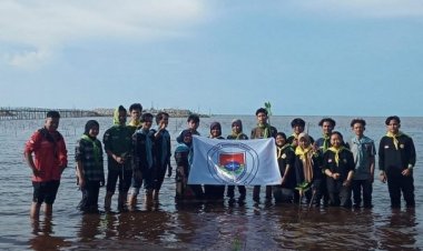 Atasi Abrasi Laut, Mahasiswa Unilak Tanam Mangrove di Bengkalis