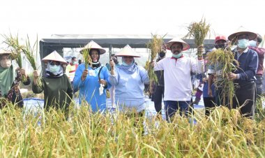Pemerintah Pusat dan Pemprov Riau Beri Bantuan Kepada 82 Poktan Bengkalis