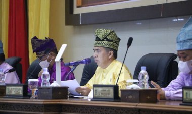 Paripurna Istimewa Milad Inhil ke-57,  Dr Ferryandi Akui Perkebunan dan Infrastruktur Kunci Utama Inhil Sejahtera