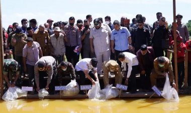 Tanam Aren dan Tebar Benih Ikan Arwana  di Rawa Seribu Rohul, Gubri  Apresiasi Gapoktan HKm Tambusai Utara