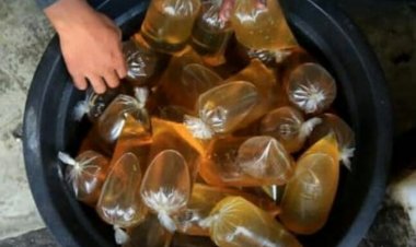 PTPN V Salurkan Minyak Goreng Curah Murah Rp12 Ribu per Kilogram di Pekanbaru Hari Ini