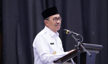 Gubernur Riau Minta Plt Menpan RB Naikkan Status Guru Honor Jadi P3K