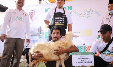 Program Kurban Online, BAZNas Siak Dapat 100 Ekor Domba dari Pusat 