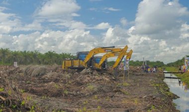 BPDPKS Berikan Bantuan Replanting Program Peremajaan Sawit Rakyat kepada 10 Kabupaten Kota di Riau