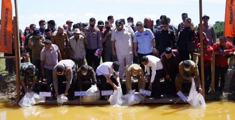 Tanam Aren dan Tebar Benih Ikan Arwana di Rawa Seribu Rohul, Gubri Apresiasi Gapoktan HKm Tambusai Utara