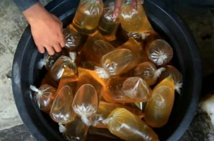 PTPN V Salurkan Minyak Goreng Curah Murah Rp12 Ribu per Kilogram di Pekanbaru Hari Ini