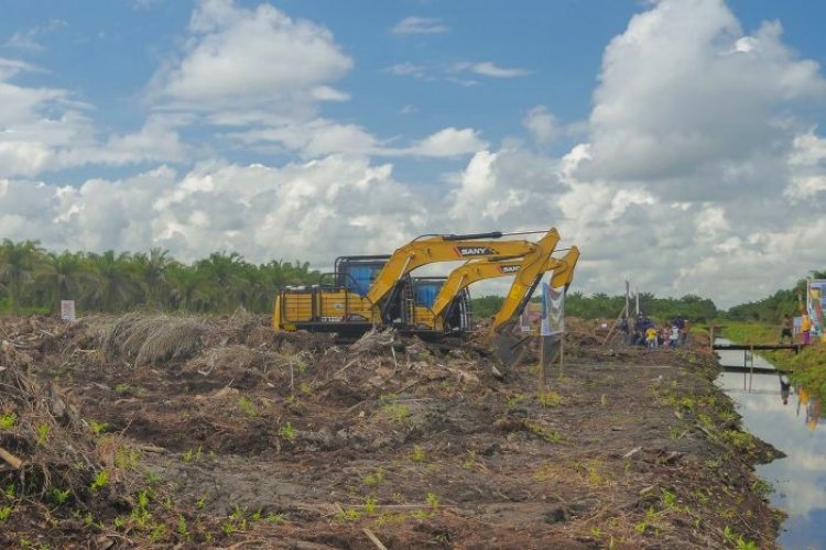 BPDPKS Berikan Bantuan Replanting Program Peremajaan Sawit Rakyat kepada 10 Kabupaten Kota di Riau