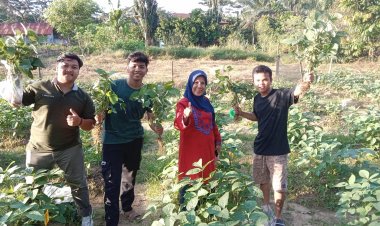 Mahasiswa Faperta Unilak Panen Kedelai di Tanah Kering