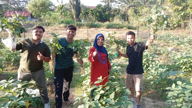 Mahasiswa Faperta Unilak Panen Kedelai di Tanah Kering
