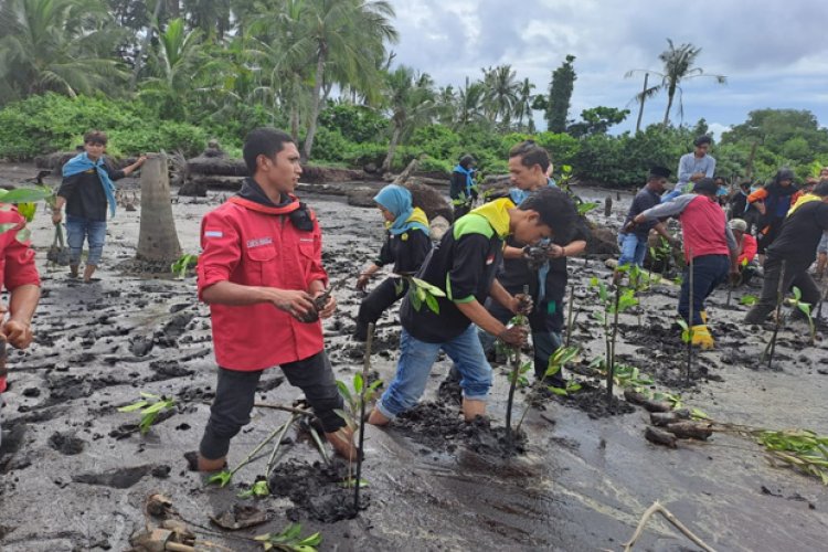 Antisipasi Abrasi, Mapala Laksamana Polbeng Tanam Mangrove di Pesisir Bengkalis