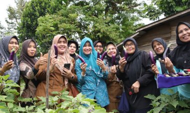 Kelompok Wanita Tani Berkah Berseri Binaan Disketapang Panen Sayur Mayur,  Raja Rilla Mustafa Apresiasi Pemberdayaan Perempuan