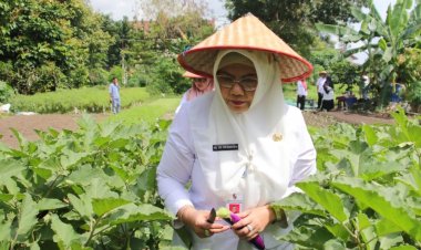 Pastikan Tanaman Kelompok Wanita Tani Aman Konsumsi, Disketapang Pekanbaru  Uji Residu Pestisida dan Kimia Berbahaya