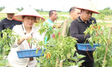 Inflasi Kota Pekanbaru Terus Melandai, Pemko Pekanbaru Lakukan Langkah Strategis