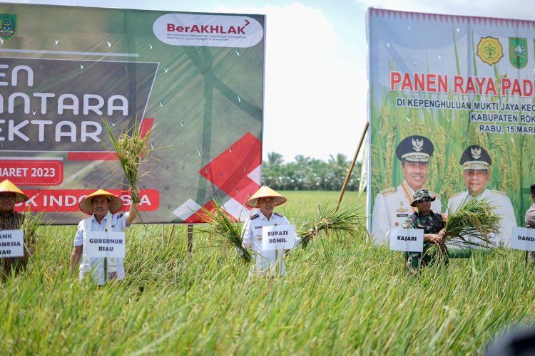 Duet Aprizal Sintong dan H Sulaiman Nakhodai Rohil, Bangun Proyek Strategis, Songsong Masyarakat Sejahtera