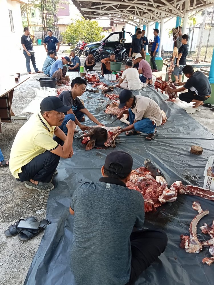 Kurbankan Dua Sapi, DTPHP Bengkalis Bagikan Daging Kurban ke Pegawai dan Masyarakat