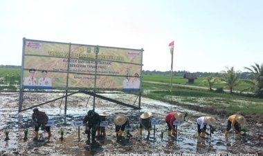 Gapoktan  Bengkalis Bertekad Tingkatkan Produksi Tanaman Pangan