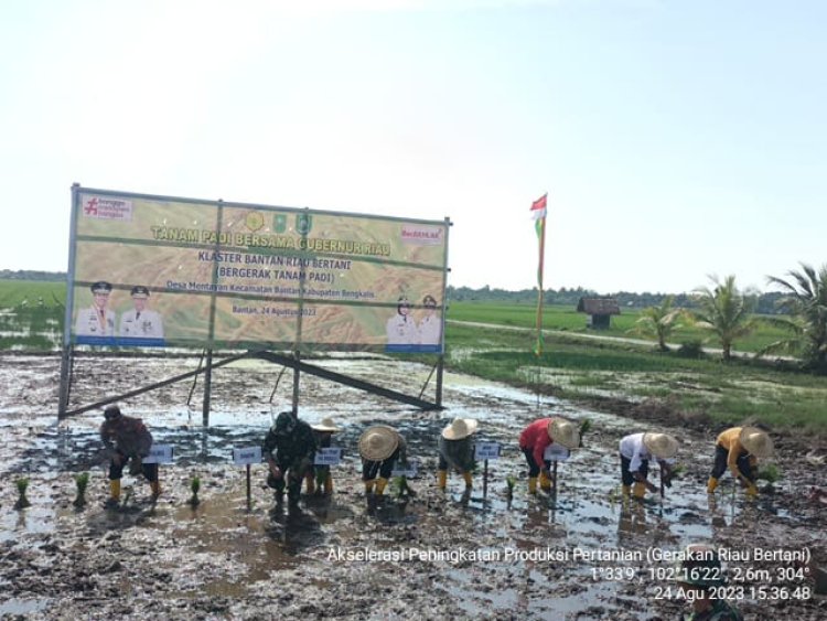 Gapoktan Bengkalis Bertekad Tingkatkan Produksi Tanaman Pangan