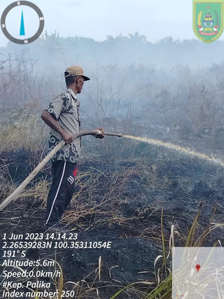 Pjs Penghulu Pasir Limau Kapas Berjibaku Padamkan Karhutla