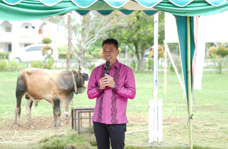 Afrizal Sintong Saksikan Penyembelihan Hewan Qurban, Minta Tumbuhkan Semangat Kurban