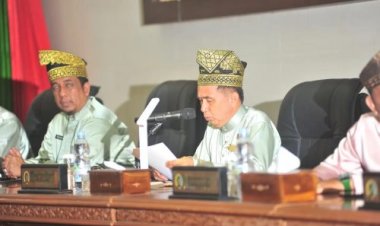 Dr Ferryandi Beberkan PR Fisik Non Fisik di Moment HUT Inhil ke-59