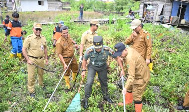 Bupati Rohil Bistamam Goro Penanggulangan Malaria di Sinaboi