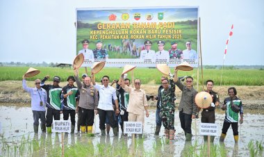 Pemkab Rohil Dorong Revitalisasi dan Penguatan Sektor Pertanian
