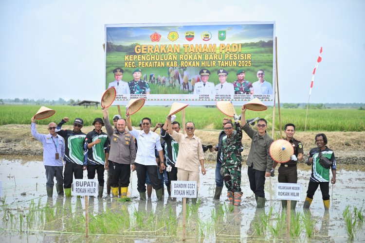 Pemkab Rohil Dorong Revitalisasi dan Penguatan Sektor Pertanian