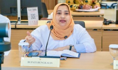 Kasmarni Sampaikan Rencana Pembangunan RSUD Pratama Bukit Batu ke Menteri Kesehatan 