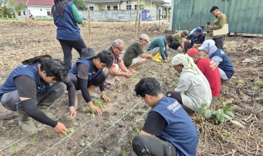 Mahasiswa Faperta UNRI Tanam Padi Gogo di Kelurahan Palas