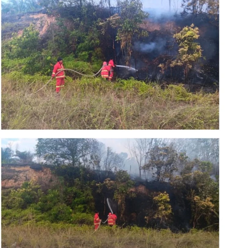 Hindari Karhutla, Masyarakat Diminta Jaga Kawasan Masing-masing 