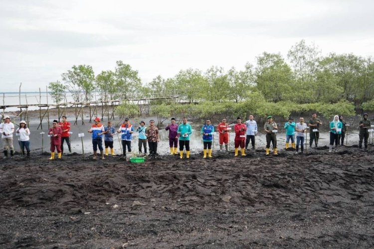 Cegah Abrasi, Pemko Dumai Tanam 2.000 Mangrove di Kawasan Pesisir Sempena Hari Mangrove Sedunia
