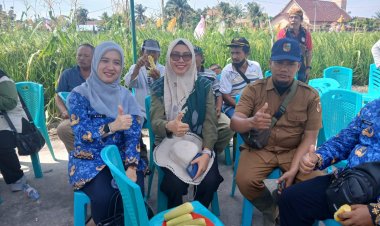 Poktan Aman Sejahtera Palas Panen Padi Gogo, Minta Pemprov Riau Bantu Rici Milling