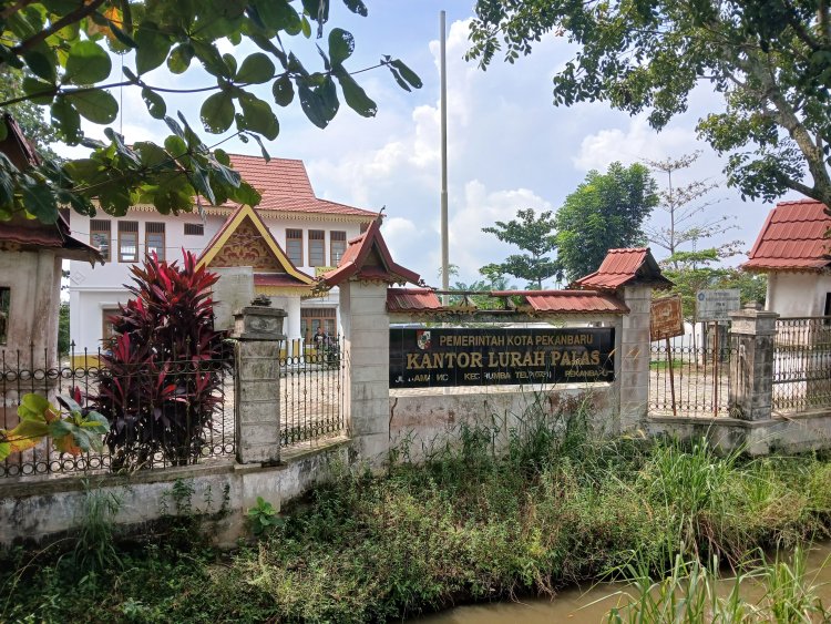 Lurah Palas tak Ketahui Pengelola Pasar Kaget Palas, Kemana Retribusi Sampah dan Parkir?