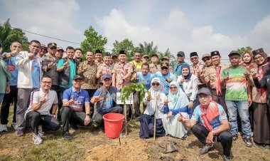 Pemko Pekanbaru Terbitkan Edaran Larangan Penebangan Pohon, Wako Agung Nugroho: Tidak Boleh Tebang Pohon Besar
