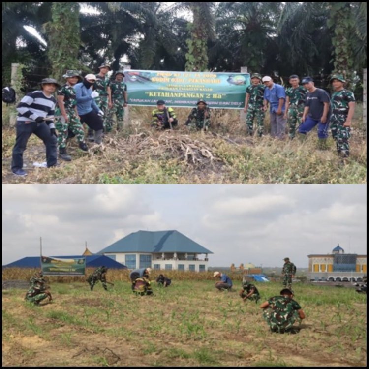 Tanam Jagung, Cabai dan Ubi, Satgas TMMD Kodim 0301/Pekanbaru dan Warga Wujudkan Ketahanan Pangan