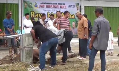 Bersama JMSI Inhu, Agrinas Palma Nusantara dan Pemkab Inhu Potong 2 Ekor Sapi