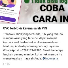 Ini hubungi whatsapp ovo